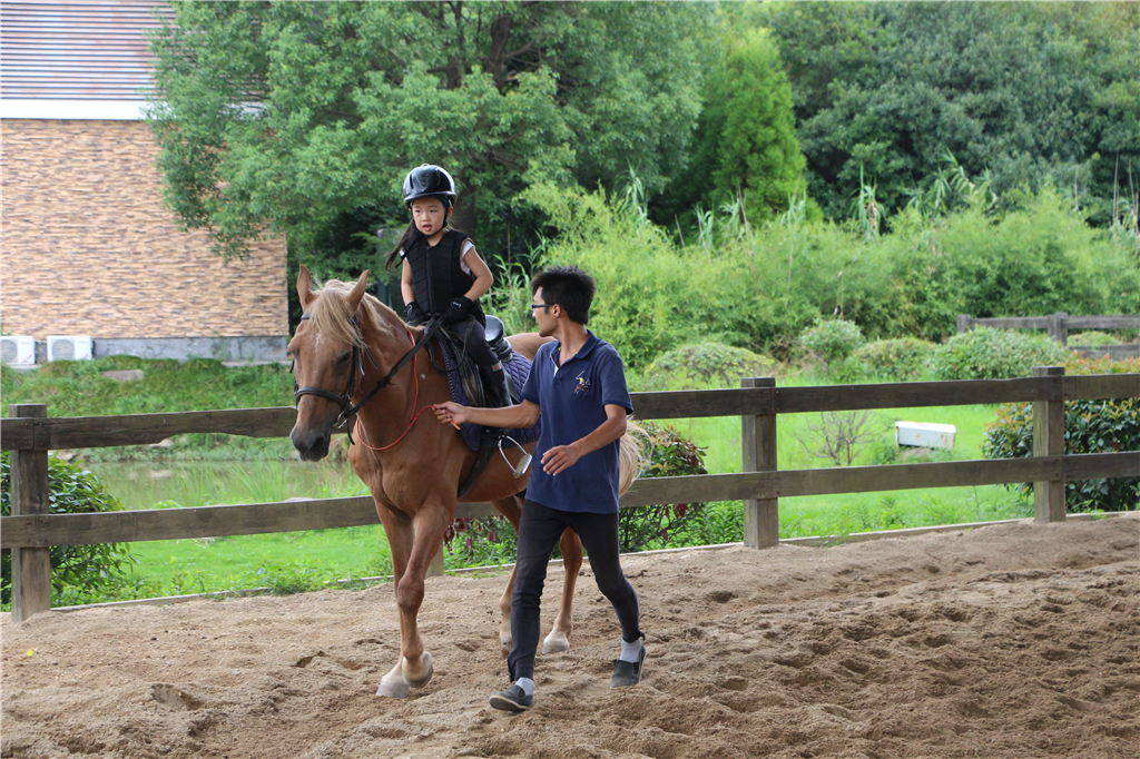 嘉兴南北湖农家乐推荐,嘉兴南北湖农家