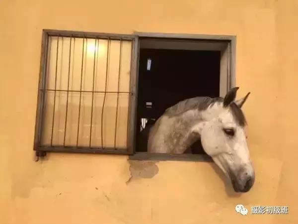 手机照片后期最好的修图软件,手机lr后期修图教程