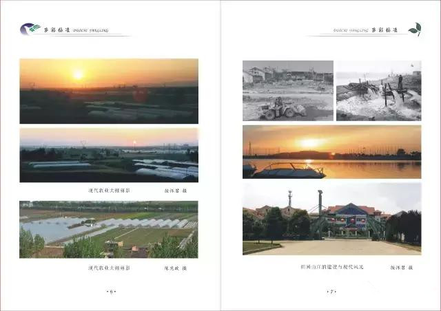 杨凌蘸水面高凤香,杨陵杨凌