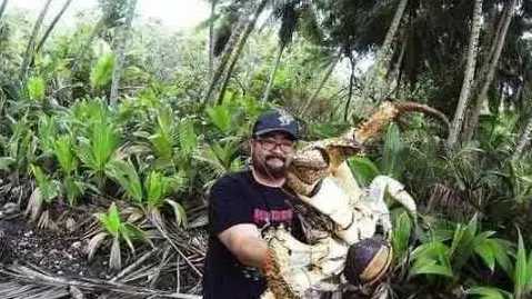 陈赫爱吃的蟹,陈赫吃椰子蟹视频