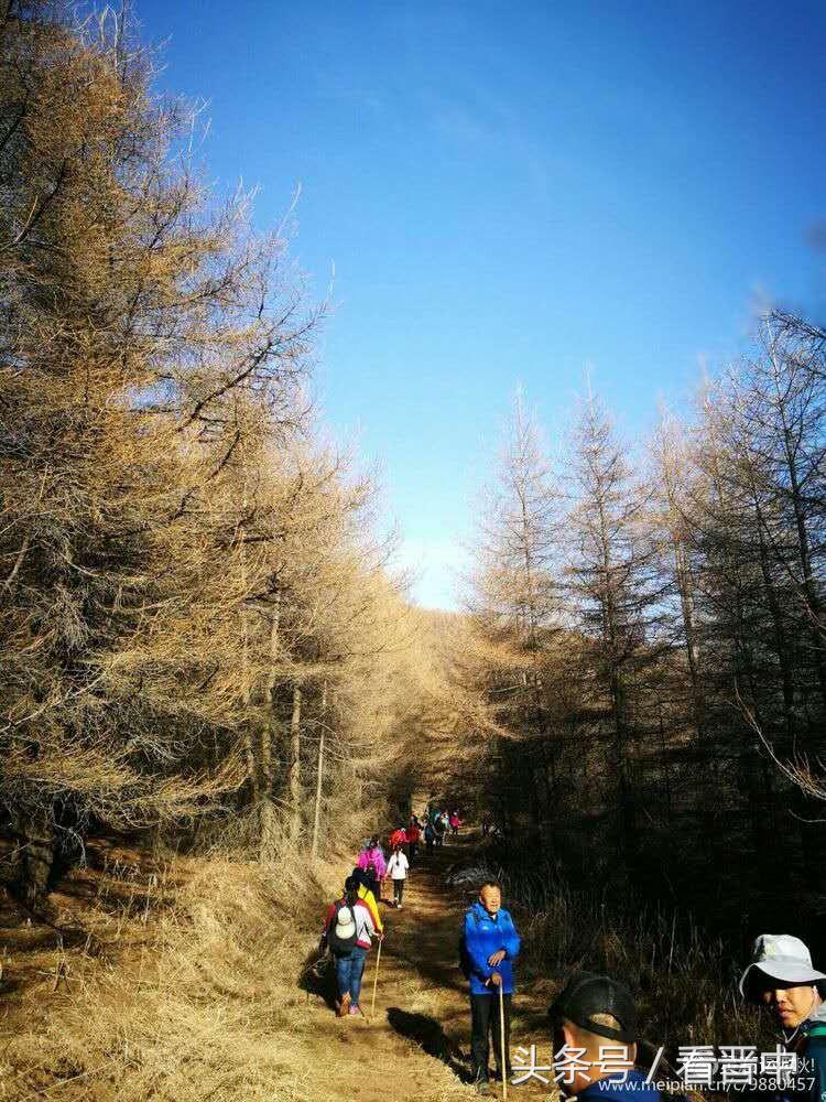 灵石红崖峡评价,灵石红崖峡门票价格