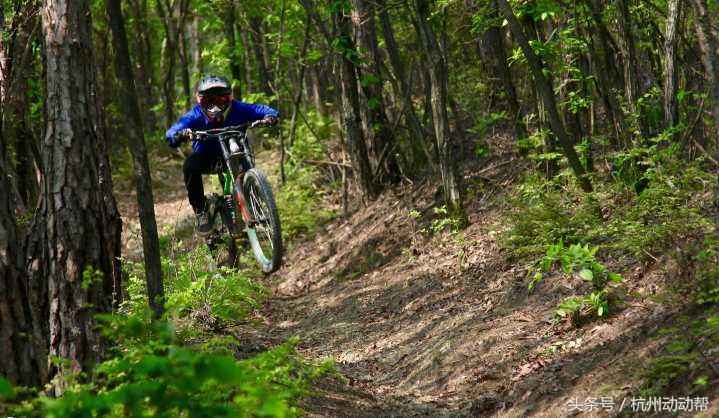 杭州足球公园有哪些,杭州西湖相当于几个球场