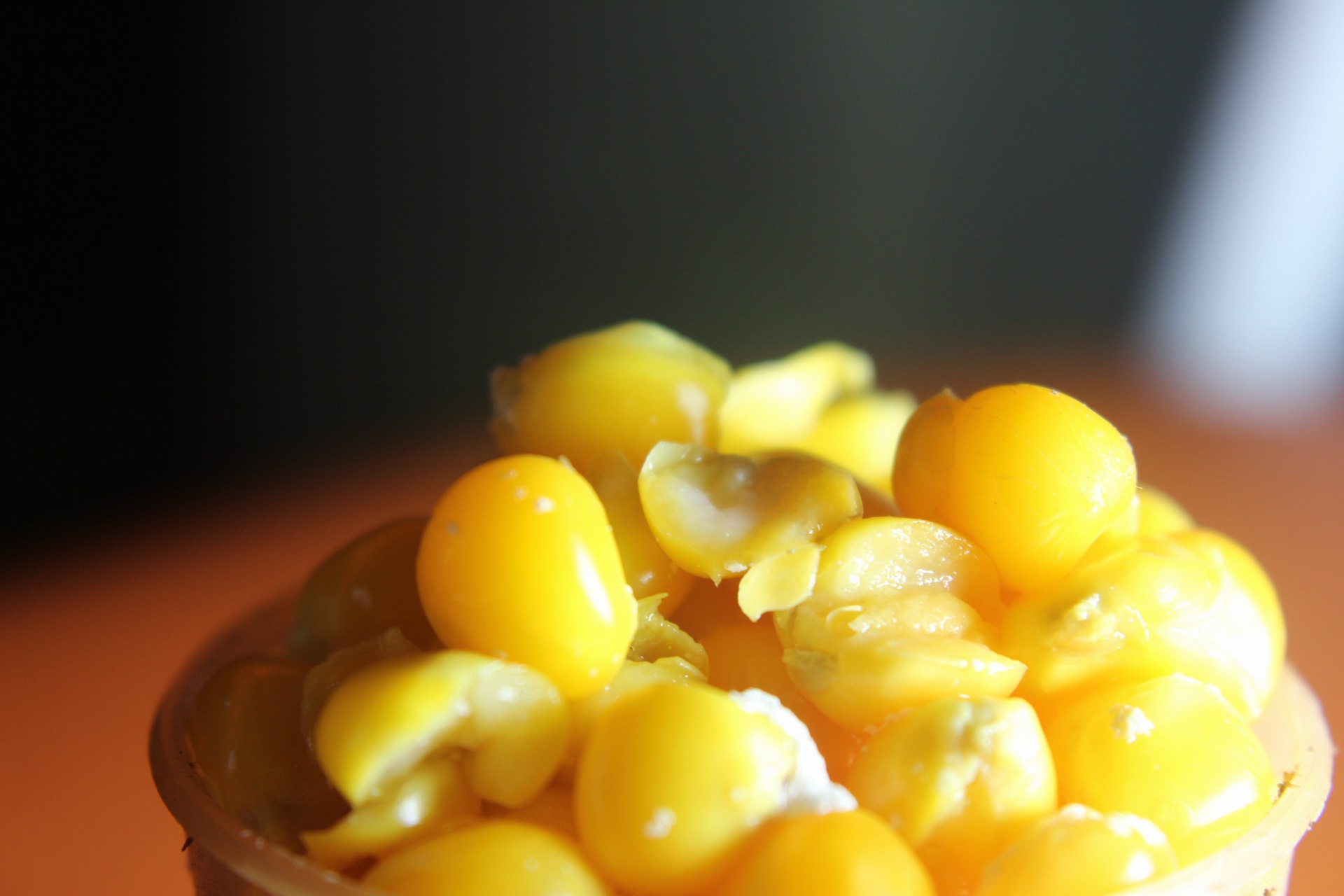 用老坛玉米做钓饵,老坛玉米饵使用视频