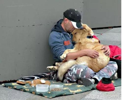 流浪汉冻死街头后续,流浪汉冻死在雪地