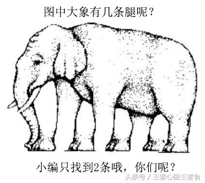 奶茶里的奶茶果是什么,奶茶中奶与茶的比例是多少