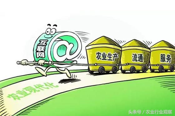 农资电商运作模式分析,电商江湖沉浮录