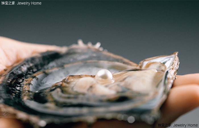 听过无数遍,怎么辨别真正的akoya珍珠