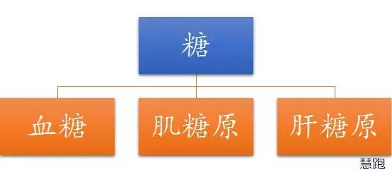 马拉松前面跑得太快能缓过来吗,马拉松中途停下后再跑很吃力