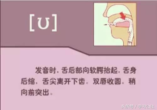 夏沫英语48个音标教学视频,英语音标教学视频48个快速记忆法