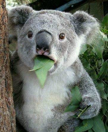 癌症精准医疗治疗一个针剂310万,这家公司会是下一个医药巨头吗