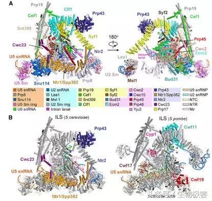 施一公回驻马店视频,施一公回清华大学的视频