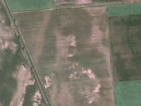 谷歌地图上的神秘物体,5个在谷歌地图上拍到的神秘生物