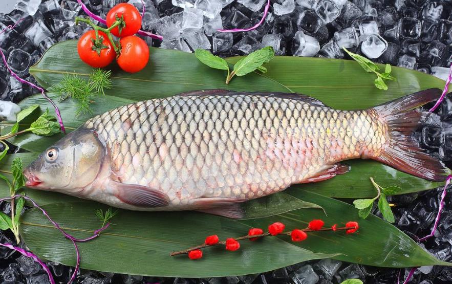 大头鱼跟白鲢鱼区别图片,青鱼草鱼鲢鱼鳙鱼被称为四大家鱼