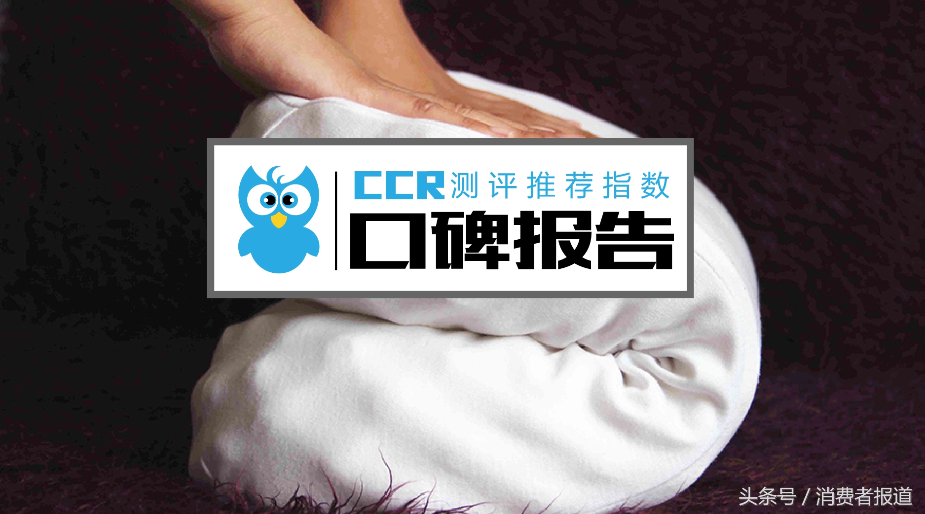 正宗乳胶枕十大品牌排行榜,哪个国家的乳胶枕最好