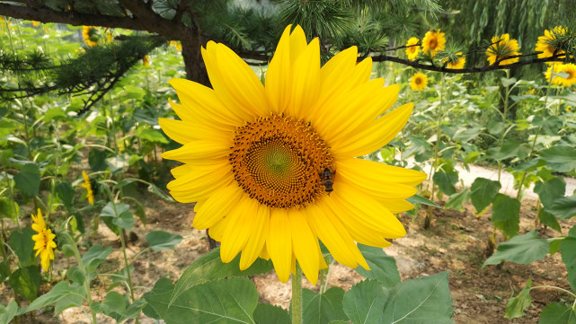 小米mix2专业评测,曝小米mixfold2参数