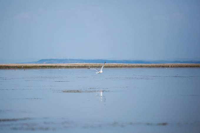 自驾游记初秋内蒙草原风光无限,内蒙大草原之旅自驾游哪里最美