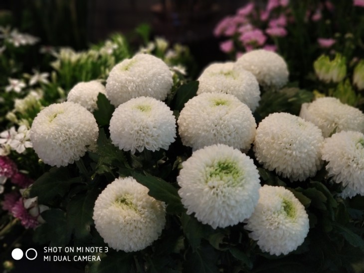 高颜值的拍照旗舰小米Note3拍照以及性能到底如何?