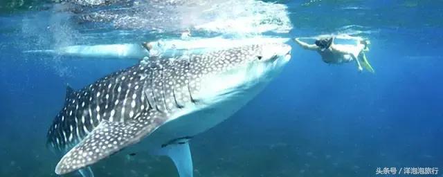 菲律宾宿务游玩攻略,菲律宾长滩岛和薄荷岛旅游风俗