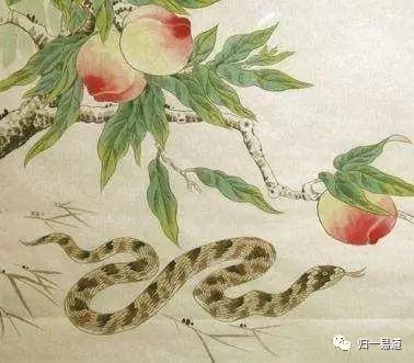 皈依以后要注意什么,皈依需要注意什么