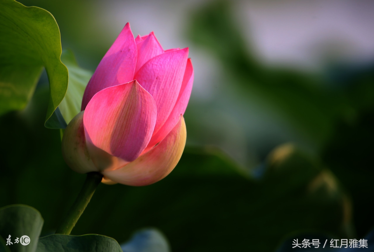 转身遇见秋——〈二〉善缘