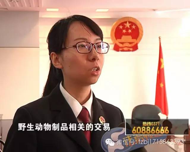 特大走私象牙判决案例,特大走私象牙判决书