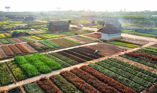 对话|横栏水乡未来五年会变得如此繁华！快听劳国南说了啥？