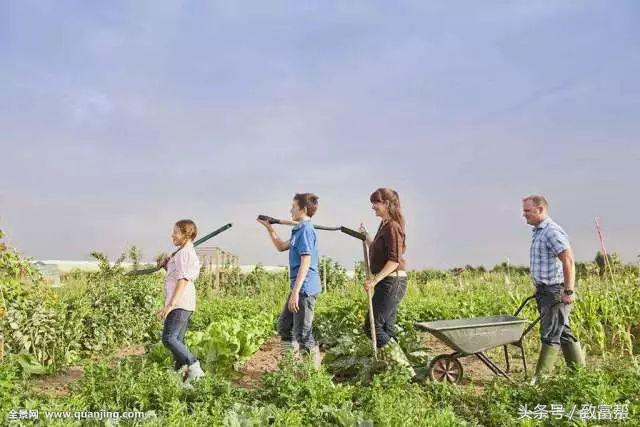 大学生在学校有什么好的创业,大学创业原来这么简单