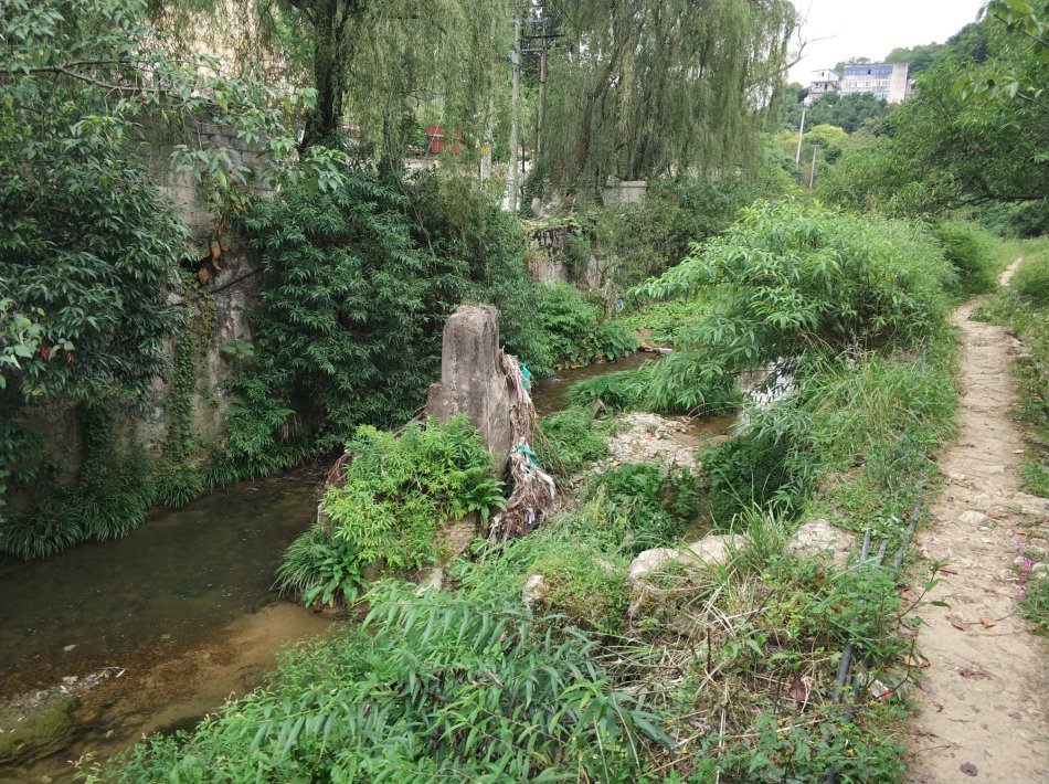 贵阳最近很火的瀑布在哪里,贵阳有个瀑布叫什么