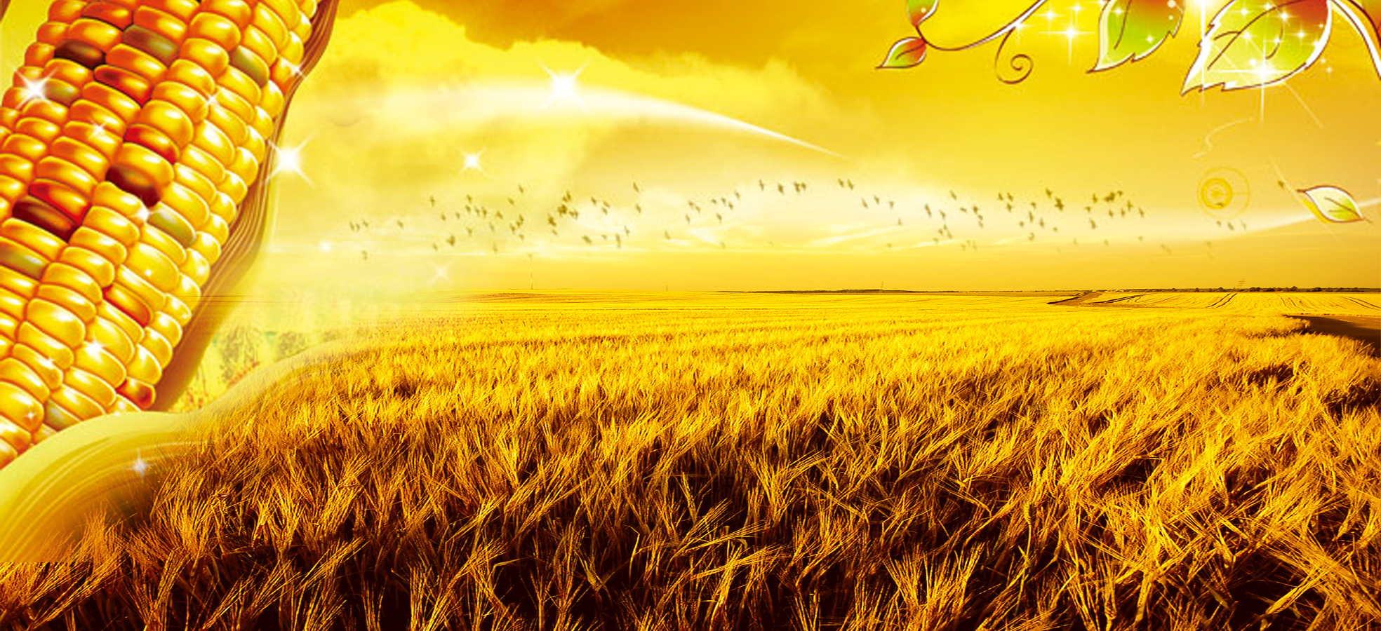 秋分刚过你知道哪些知识,秋分时间是怎么计算的