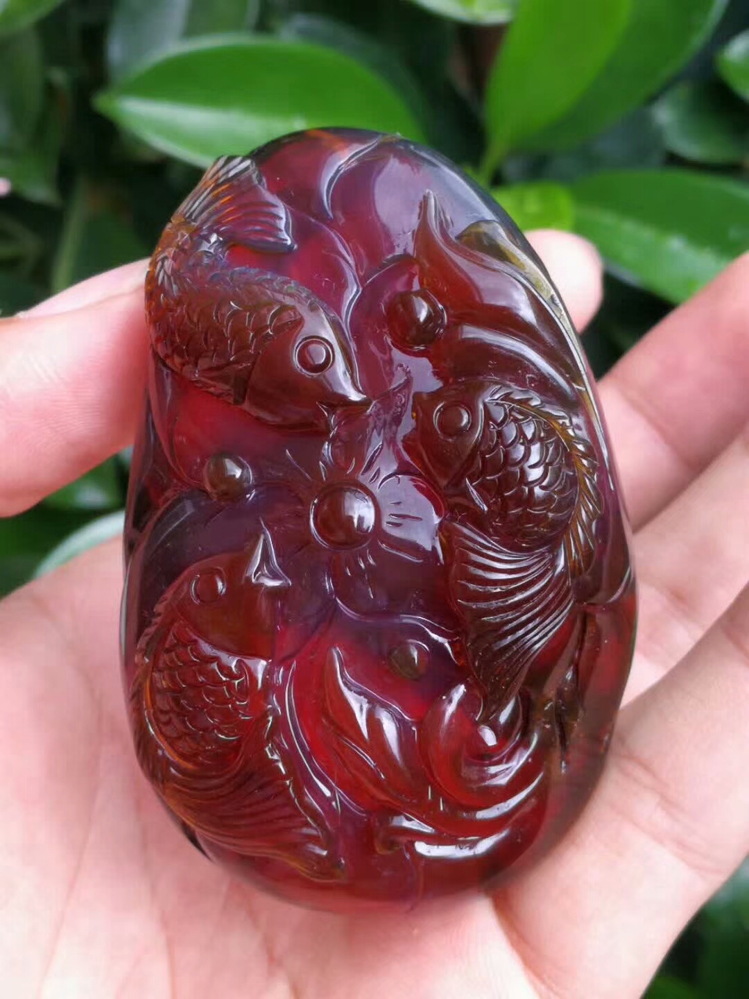 缅甸琥珀金珀好还是血珀好,缅甸血珀和棕珀