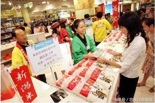 深度｜从日本大米品牌打造谈中国大米的未来之路