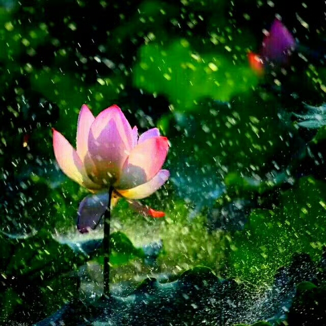 你身边有哪些高情商说话的人,你身边有诚实守信靠谱的人