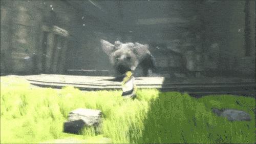 thelastguardian攻略,thelastguardian