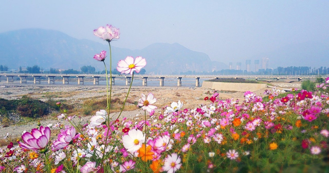 北京房山千年古镇,房山张坊的景点