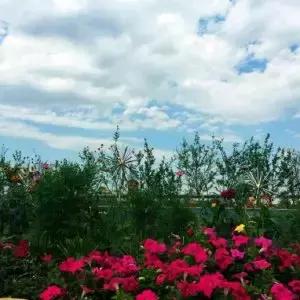 石家庄周末去哪玩推荐,石家庄初春周末游的绝佳去处