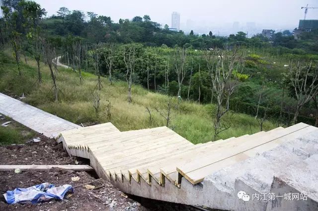 离主城最近的森林公园,离尘不离城的视频