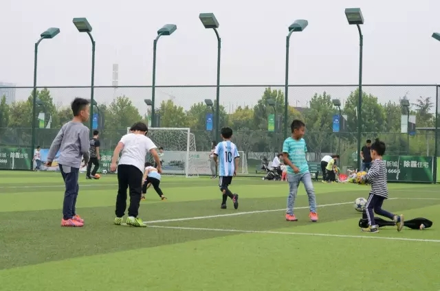 美丽的郑州北龙湖湿地公园,郑州北龙湖湿地公园初冬游记