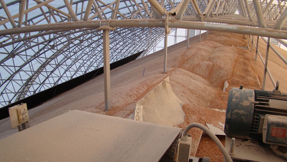 从有害生物的生活习性浅析有机粮食仓储技术