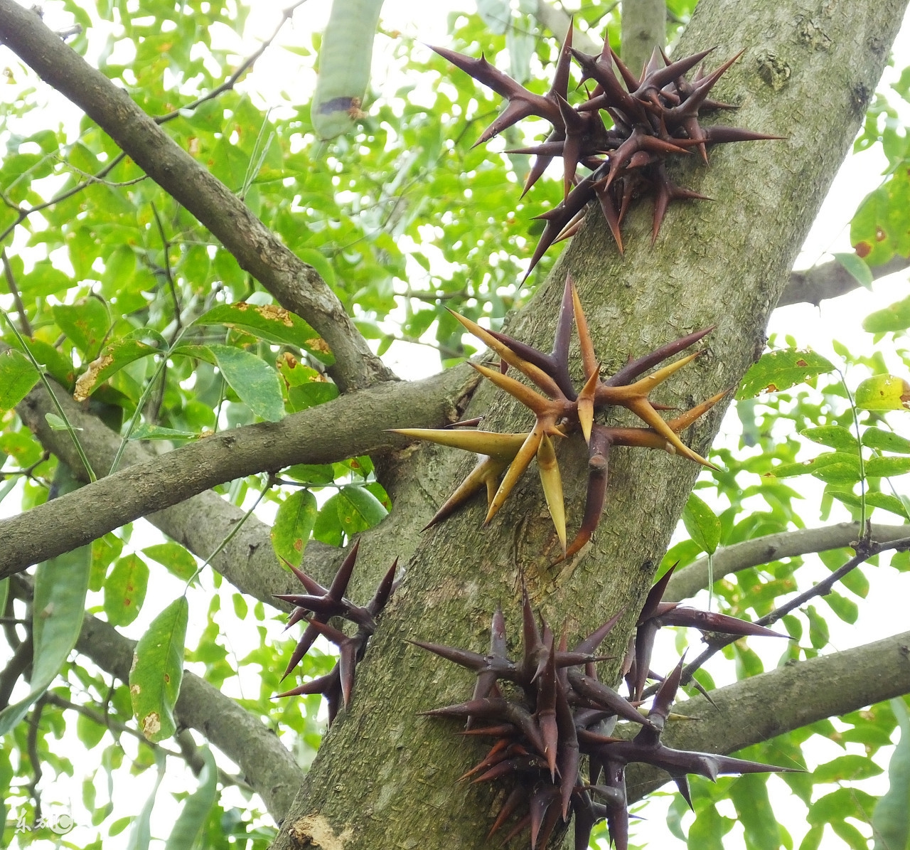 盆腔炎的自我疗法书,盆腔炎的自我疗法有哪些