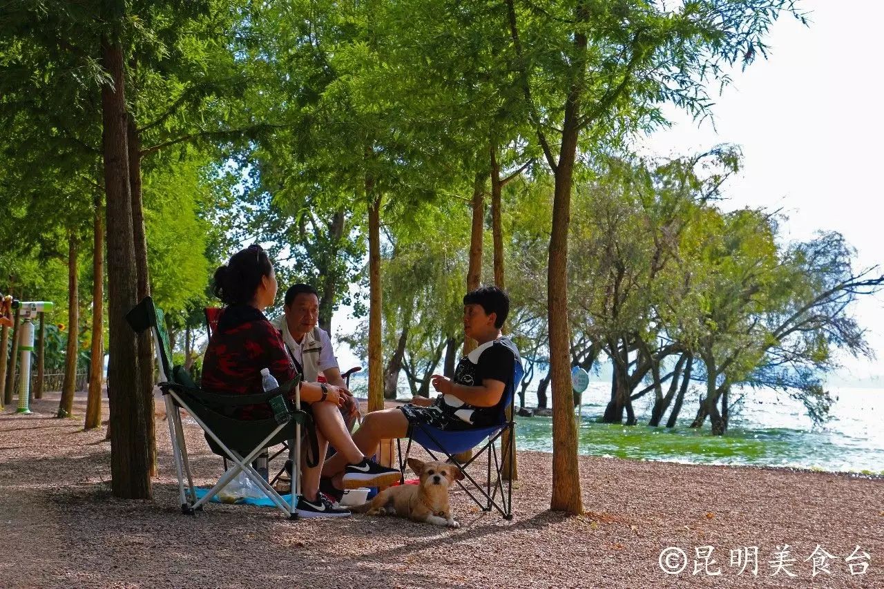 昆明捞鱼河公园万株野花如期绽放，国庆节踩烂2张共享单车也得去