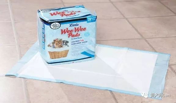 怎样护理猫咪绝育手术,狗狗绝育后怎么护理