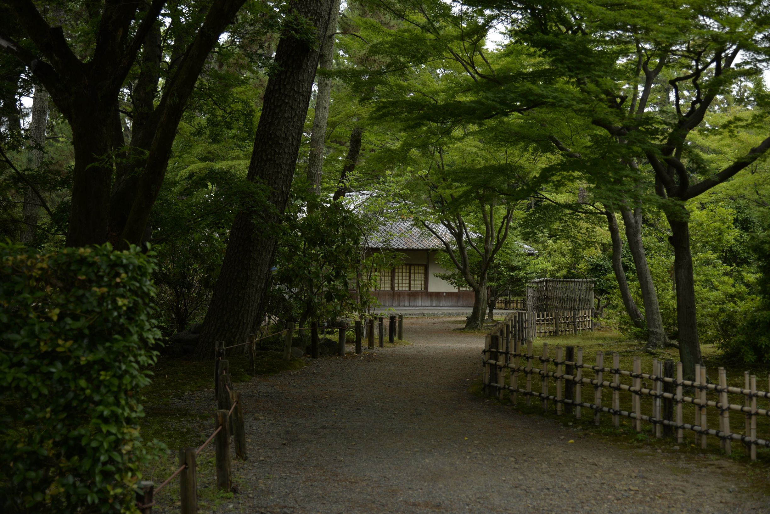 名古屋有意思吗,名古屋是不是日本的古都
