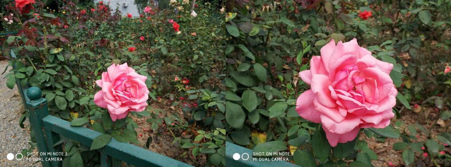 小米note3和小米6哪台更强,小米note3测评换屏幕