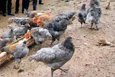 四川广元哪里最美,广元最惊艳的地方