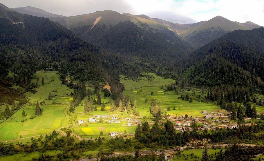 中国最美的十大森林,中国最美十大森林公园