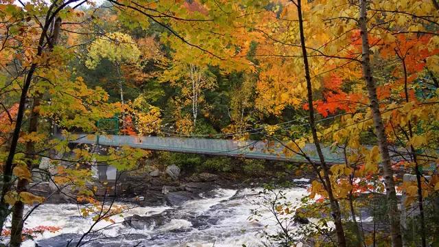 2018加拿大签证新政策是什么样的,2017加拿大签证攻略