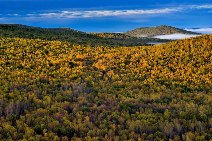 经常爬山怎么保护膝盖,运动膝盖疼痛怎么办戴什么护膝