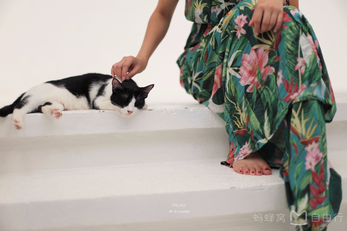 帕劳出海攻略,帕劳旅行攻略图文大全