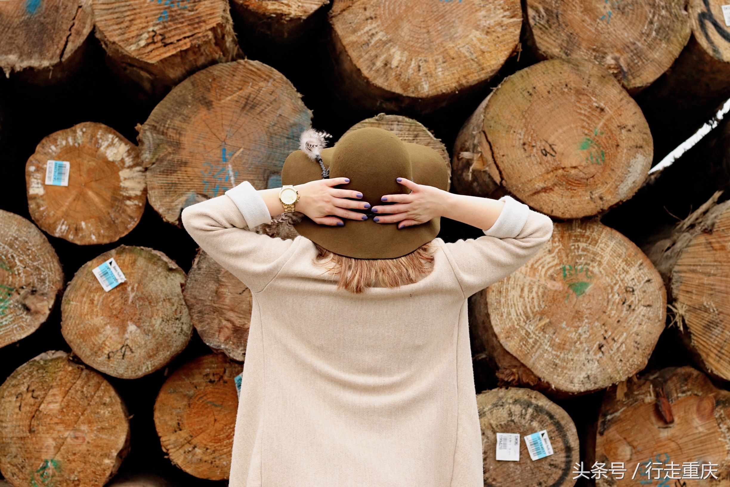 参观重庆木材加工厂遗迹,重庆最大木材加工厂