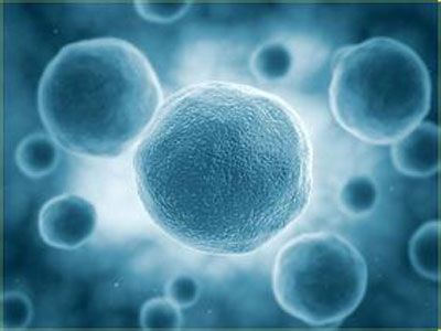 杞绘柇椋熷彴婀鹃叺绱犵矇,杞绘柇椋熻喅椋熺氦缁撮叺绱犵矇